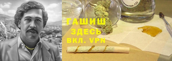 ГАЛЛЮЦИНОГЕННЫЕ ГРИБЫ Аркадак