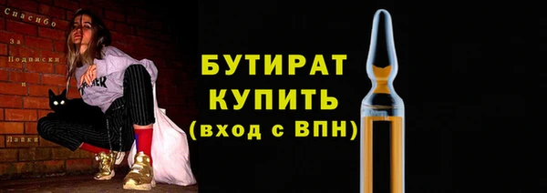 шишки Саяногорск