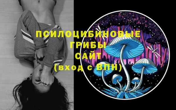 ГАЛЛЮЦИНОГЕННЫЕ ГРИБЫ Аркадак