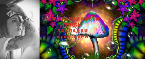 герыч Алзамай