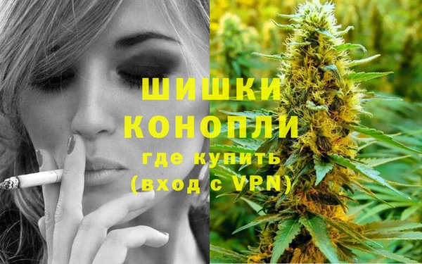 ГАЛЛЮЦИНОГЕННЫЕ ГРИБЫ Аркадак