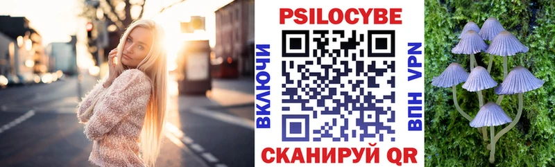 Псилоцибиновые грибы Psilocybine cubensis  Осинники 